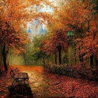 Nedeljni horoskop od 30.10.2016. - 6.11.2016.